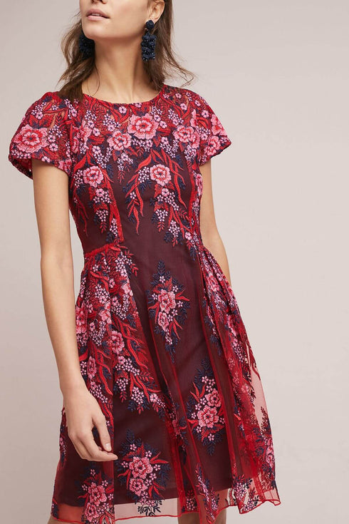Rosa Lace Dress